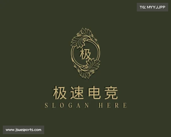 关于极速电竞
